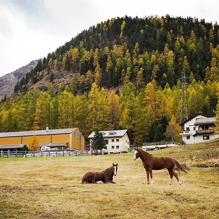 Chesa Formel - Stalla Engiadina Apartment Pontresina